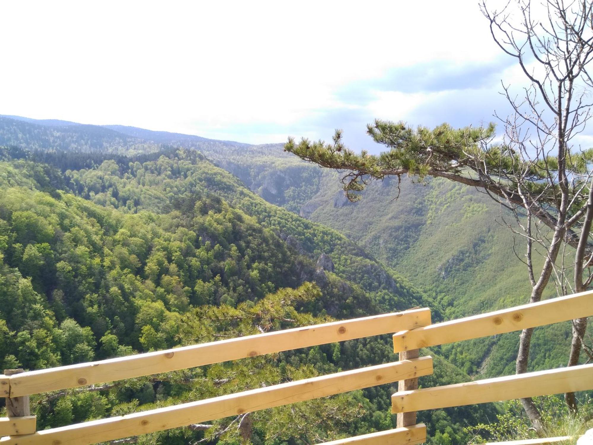 Viola I Detelina Apartments Perucac Bagian luar foto